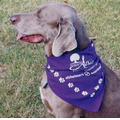 Standard Imported Dark Purple Triangle Bandanna